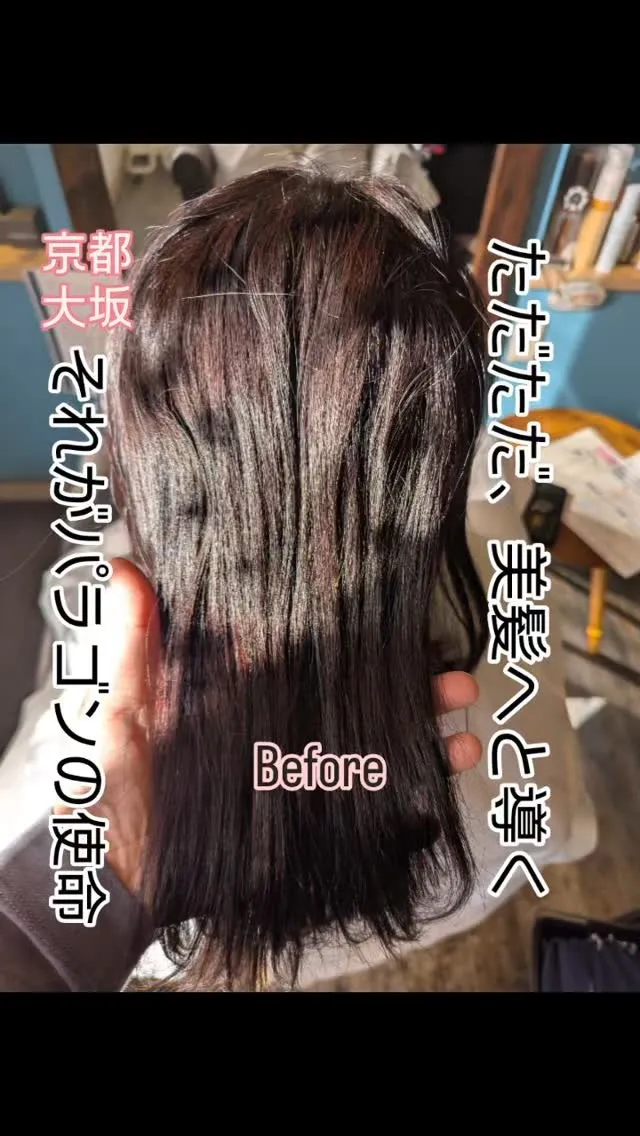 『貴女も美髪に絶対になれる！』