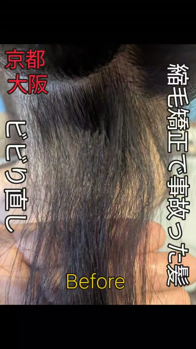 #京都ビビり直し⁡